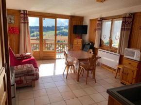 Appartement 2 pièces avec balcon, ski, TV, lave-vaisselle - Les Saisies - FR-1-293-235